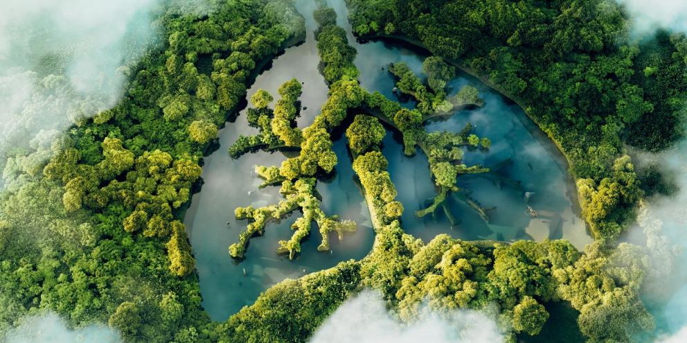 Lake with the shape of lungs surrounding by a forrest