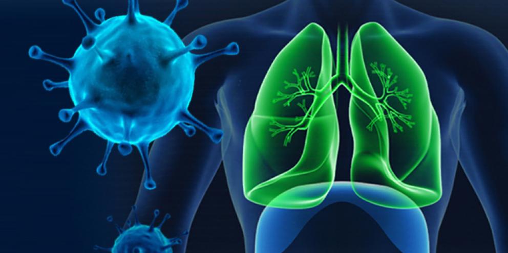 Covid-19 molecules and highlighted lungs in human body