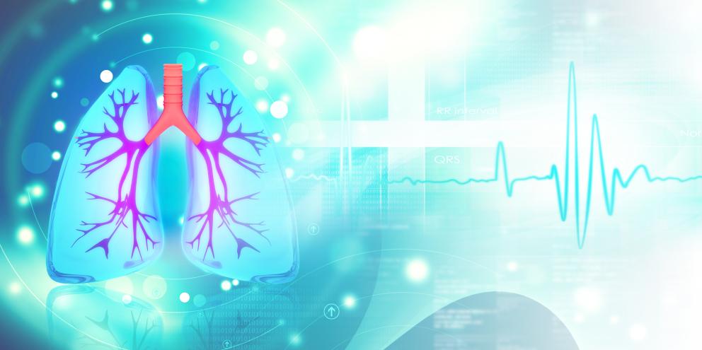 Lungs and cardiac signal