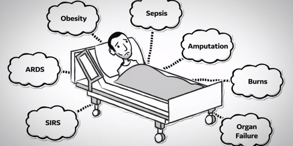 Critically ill patient