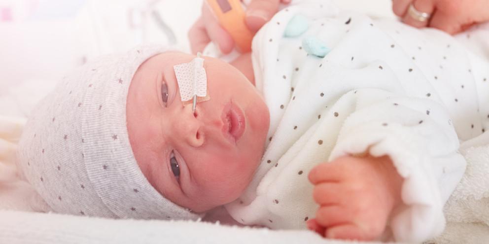 Premature Baby in the NICU