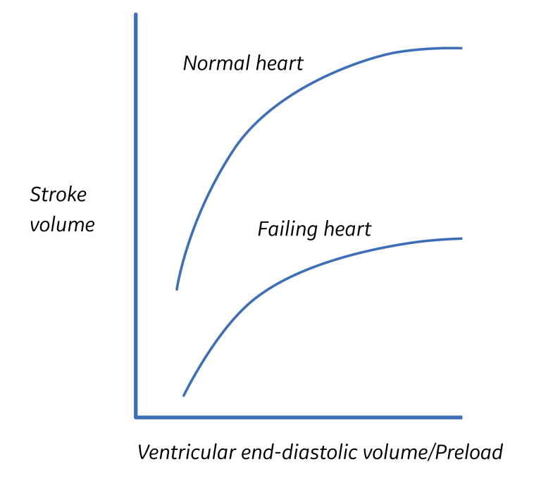 Frank-Starling curve