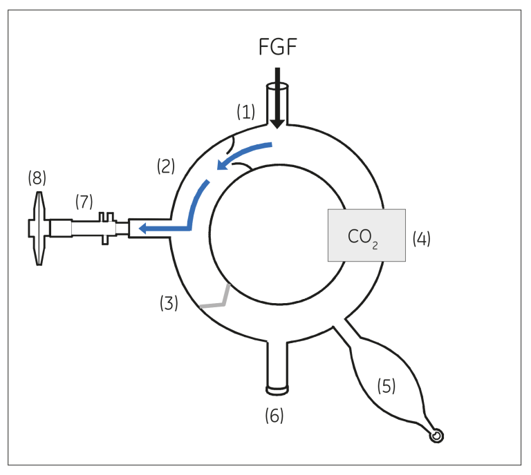 Inspiratory phase