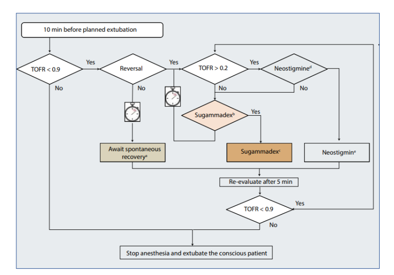 Algorithm to help avoid residual neuromuscular block