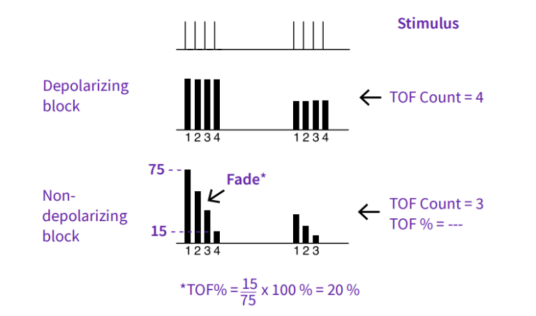 Depolarizing and non-depolarizing TOF