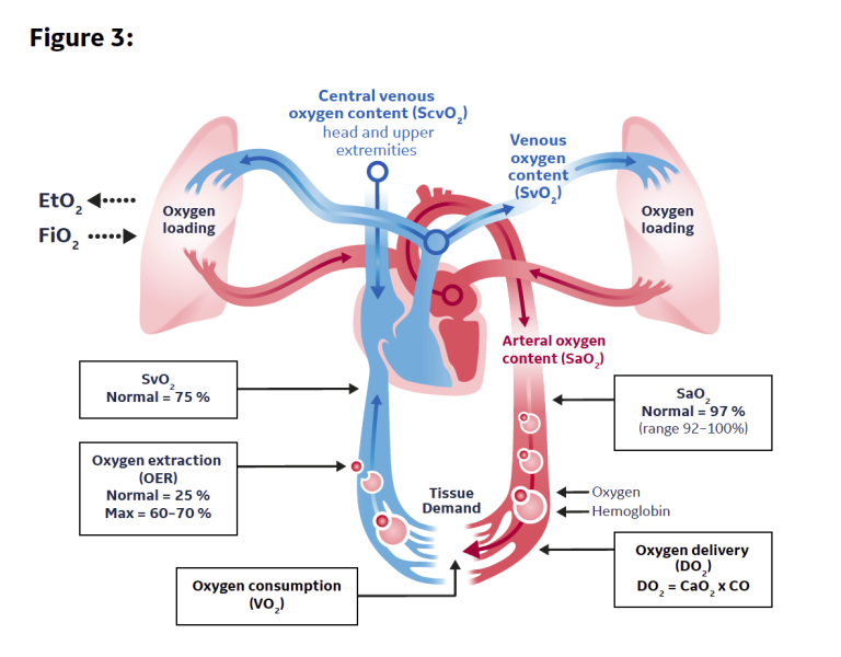 End Tidal Oxygen Measurement White Paper Clinical View