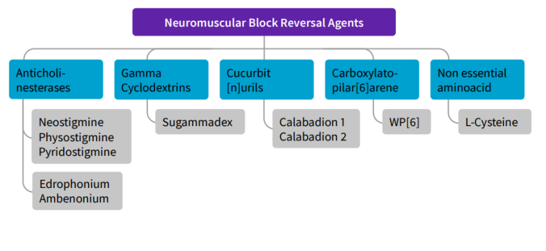 NMBA reversal agents by subtype/family