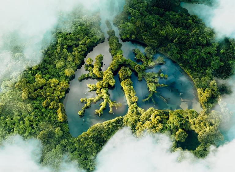 Lake with the shape of lungs surrounding by a forrest