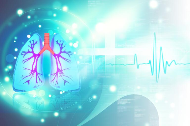 Lungs and cardiac signal