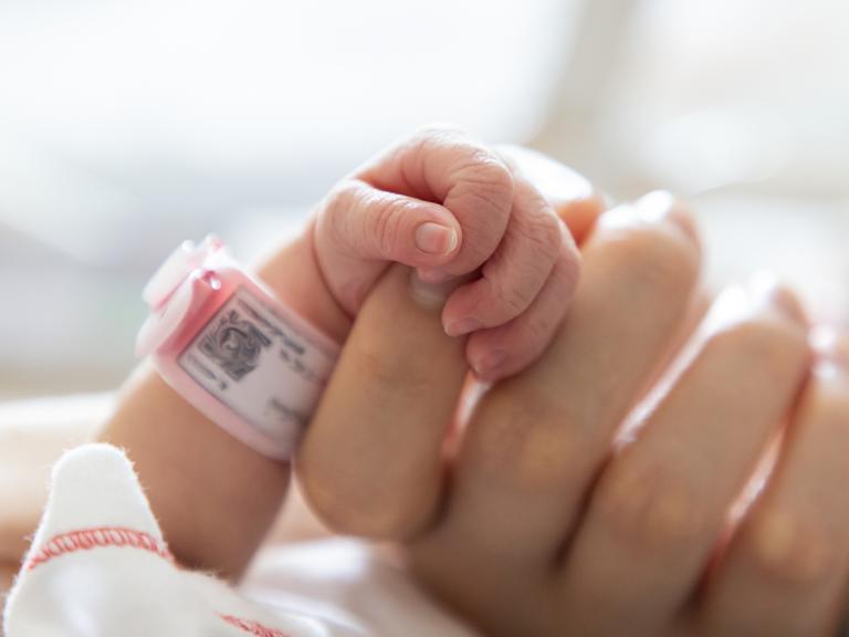 New born baby holding an adult's finger