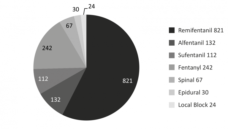 The number of patients in the SPI evaluations categorized by the different types of analgesia.