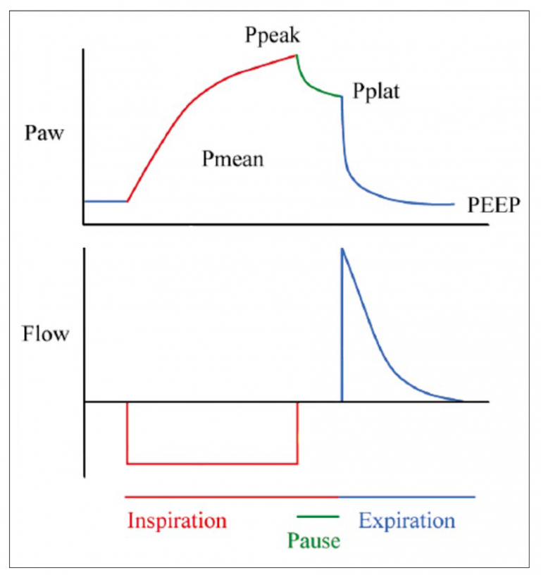 Airway pressure and flow as a function of time during one respiratory cycle.