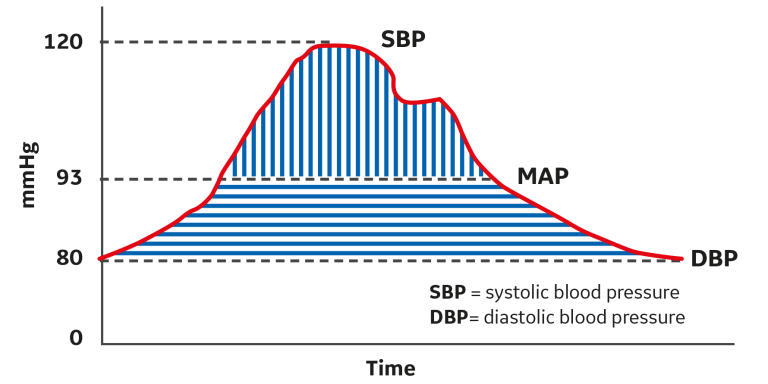 MAP is the pressure at which the pulse is divided into two sections of equal area.