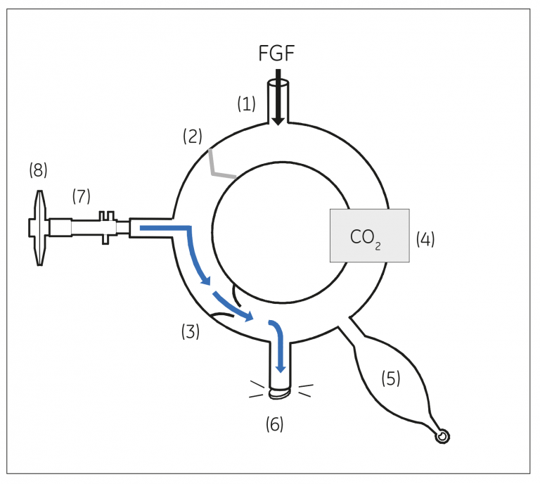 Expiratory phase