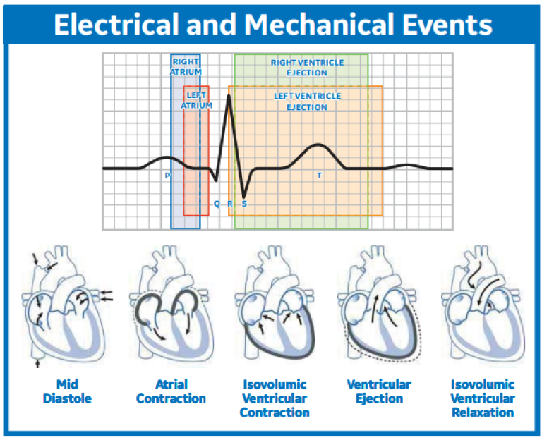 Electrical and Mechanical Events