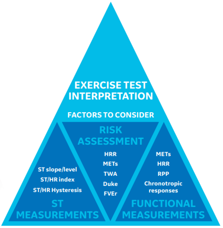 Exercise Test Responses