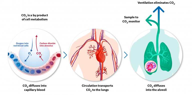 CO2 production process