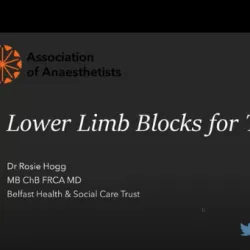 Lower limb blocks for trauma thumbnail