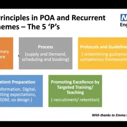 The 5 key principles in POA and recurrent national themes