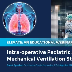 mechanical ventilation strategies