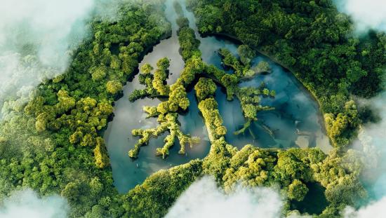 Lake with the shape of lungs surrounding by a forrest