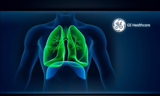 Highlighted lungs in human body 